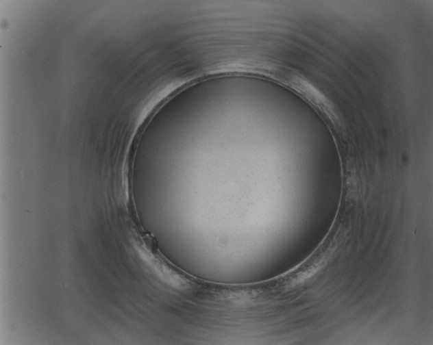 X0000062870892200601171418