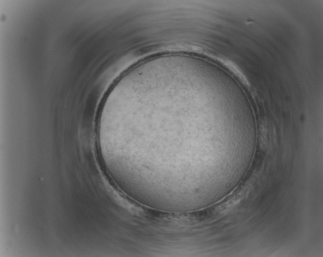 X0000062870895200601171418