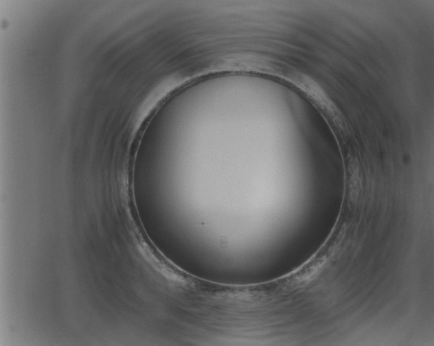 X0000062870896200601171418