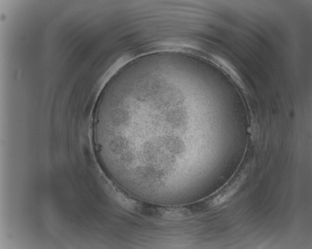 X0000062870899200601171418