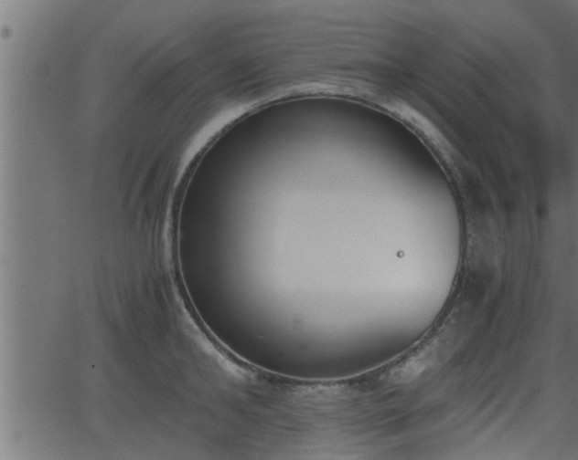 X0000062870902200601171418