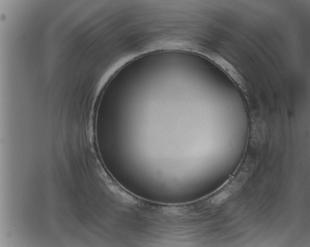 X0000062870904200601171418