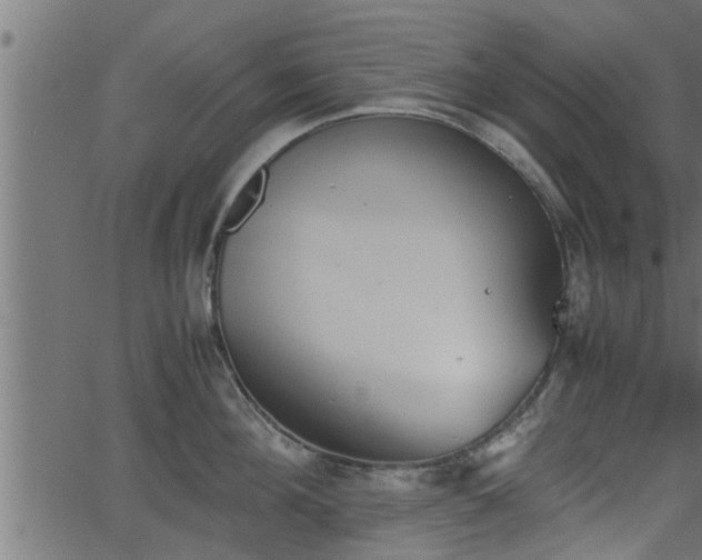 X0000062870908200601171418