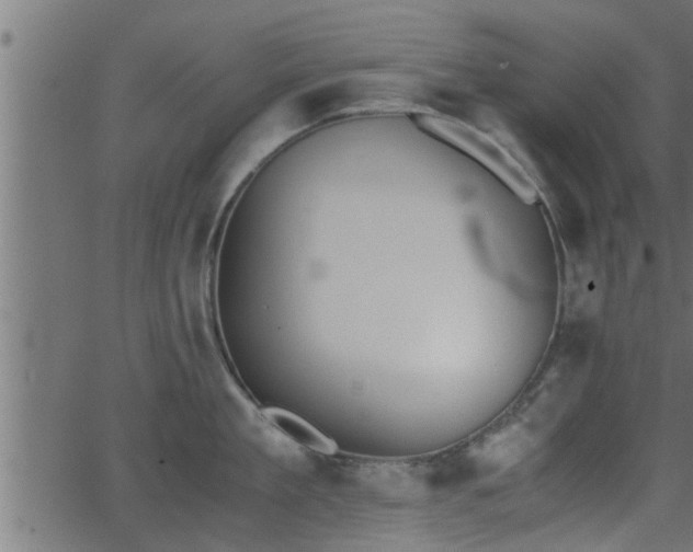 X0000062870909200601171418