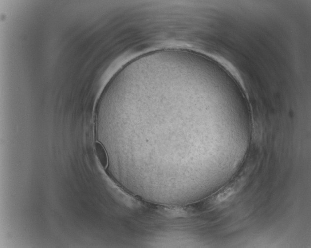 X0000062870911200601171418