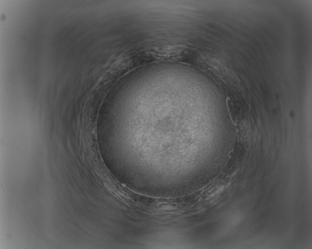 X0000062870913200601171417