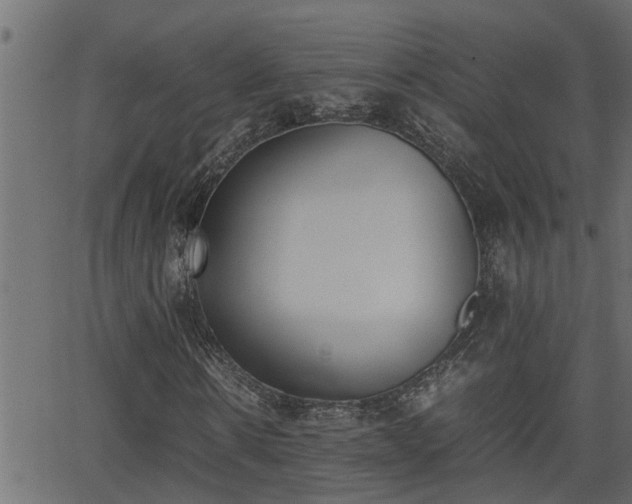 X0000062870914200601171417