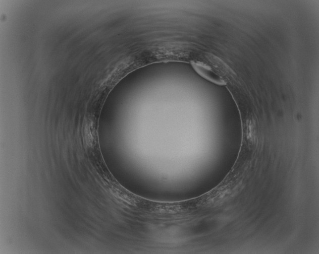 X0000062870915200601171417