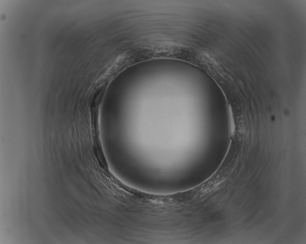 X0000062870916200601171417