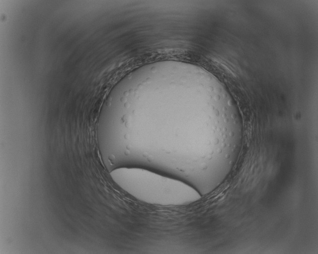 X0000062870917200601171417