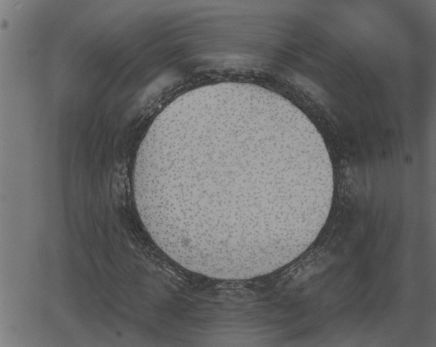 X0000062870918200601171417