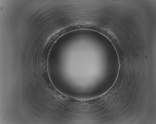 X0000062870920200601171417