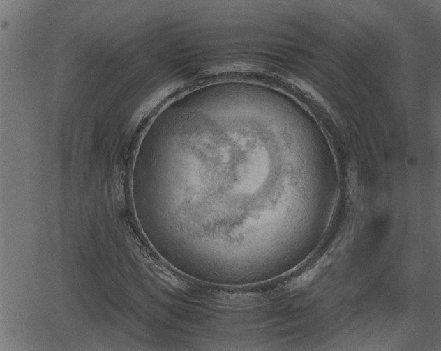 X0000062870921200601171417