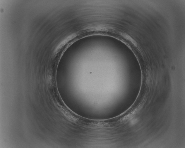 X0000062870922200601171417