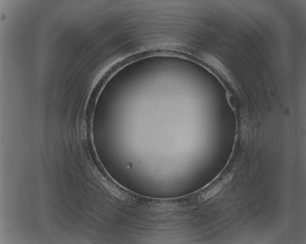 X0000062870924200601171417