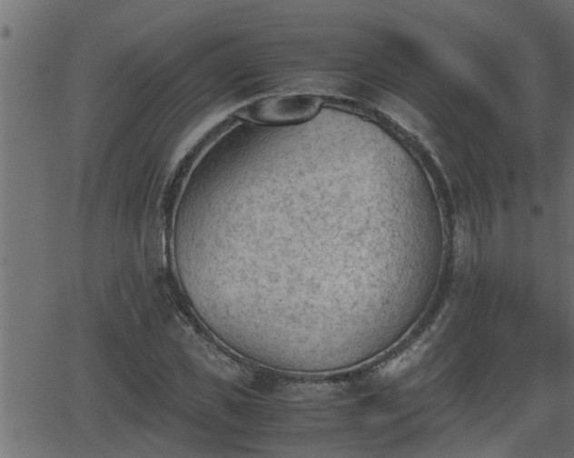 X0000062870925200601171417