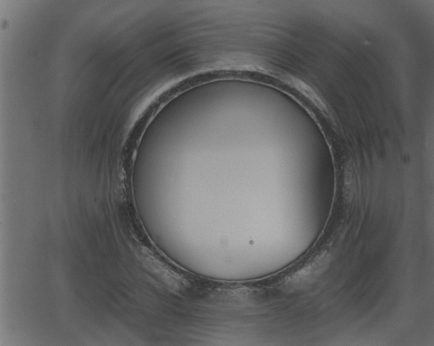 X0000062870926200601171417