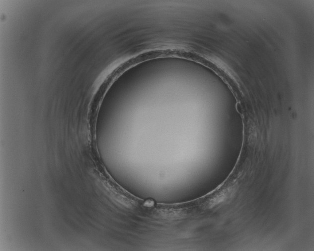 X0000062870927200601171417