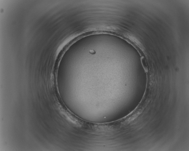 X0000062870928200601171417