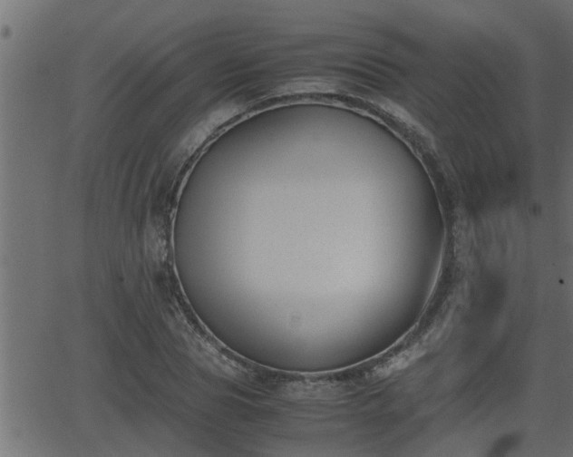 X0000062870929200601171417