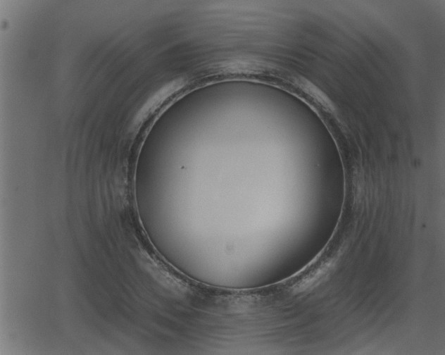 X0000062870930200601171417