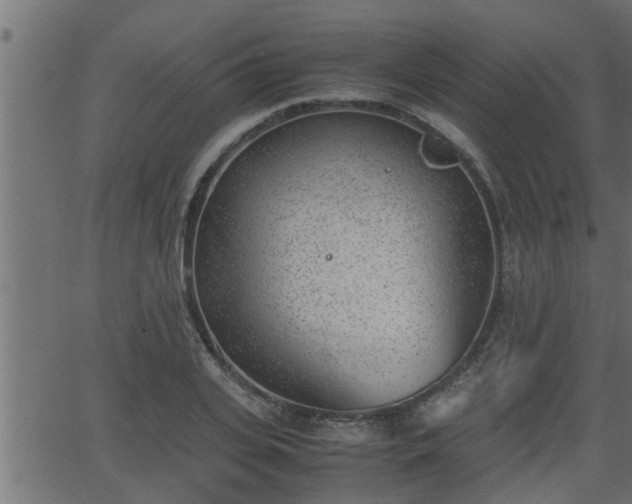 X0000062870935200601171417