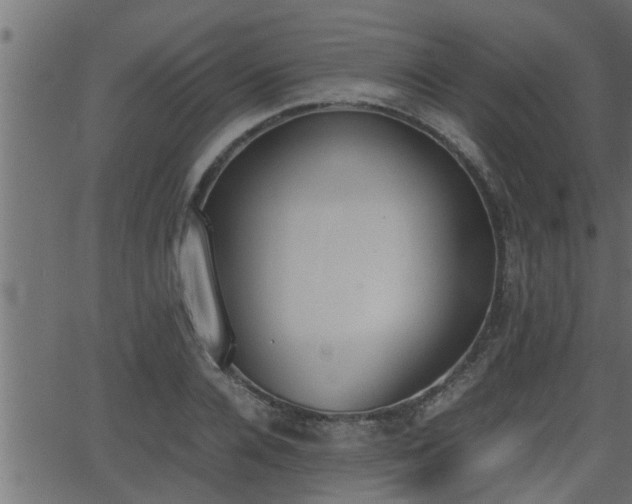 X0000062870936200601171417