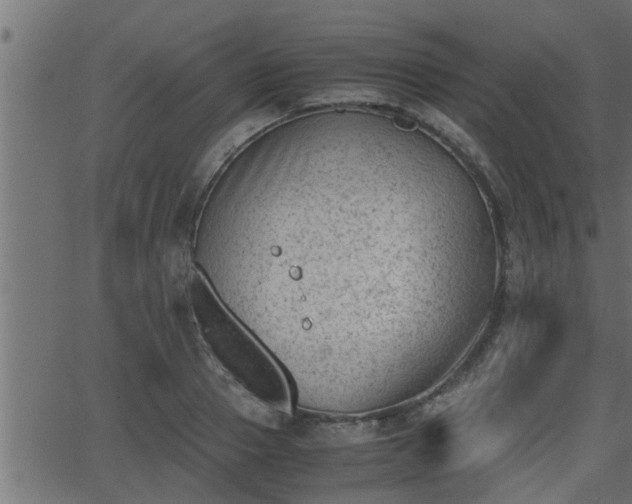 X0000062870937200601171417