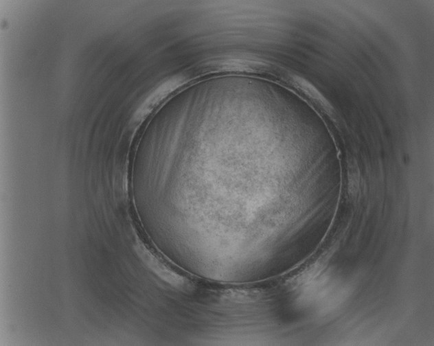 X0000062870938200601171417