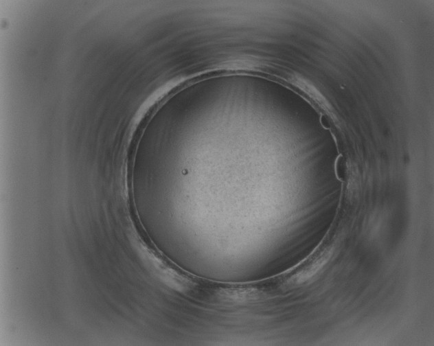 X0000062870939200601171417