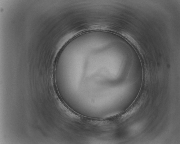 X0000062870941200601171418