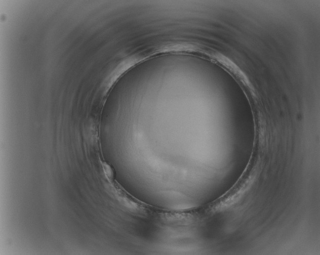 X0000062870945200601171418