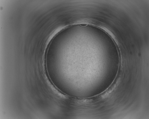 X0000062870949200601171418