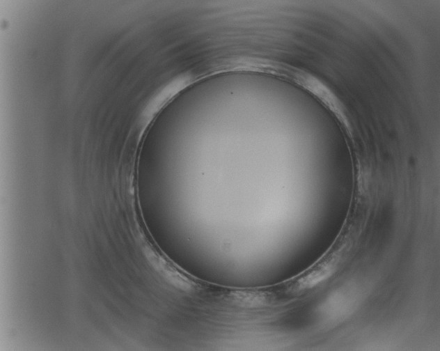 X0000062870954200601171418