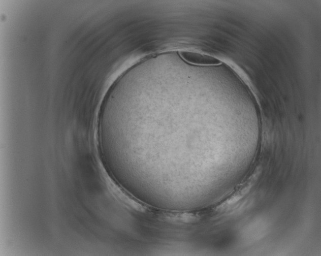 X0000062870957200601171418