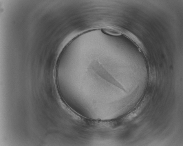 X0000062870958200601171418