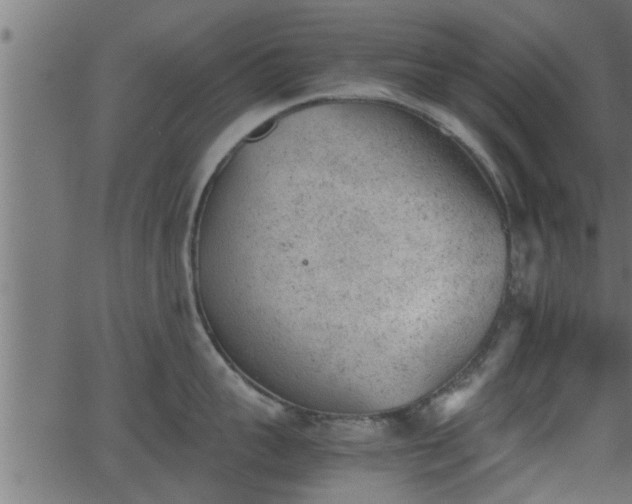 X0000062870959200601171418