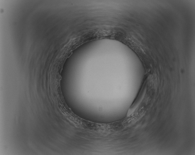 X0000062870961200601171417