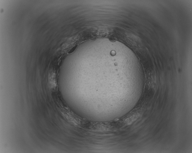 X0000062870962200601171417