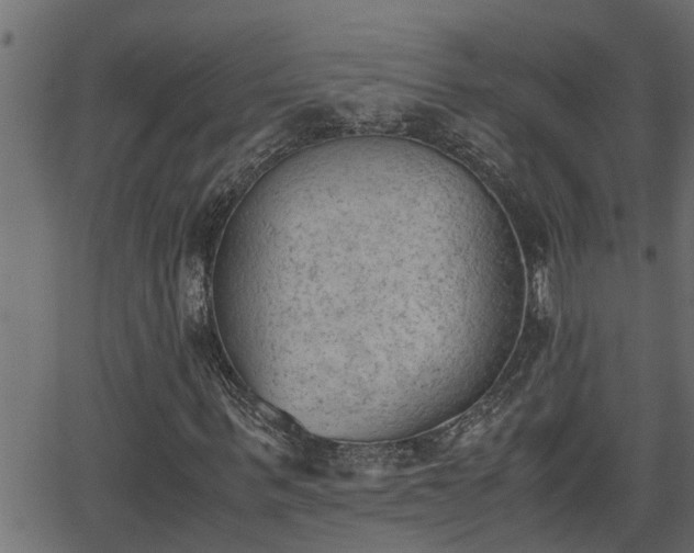 X0000062870963200601171417