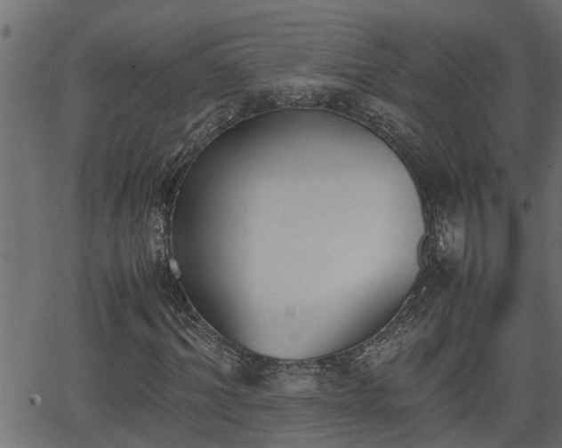 X0000062870964200601171417