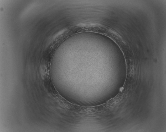 X0000062870966200601171417