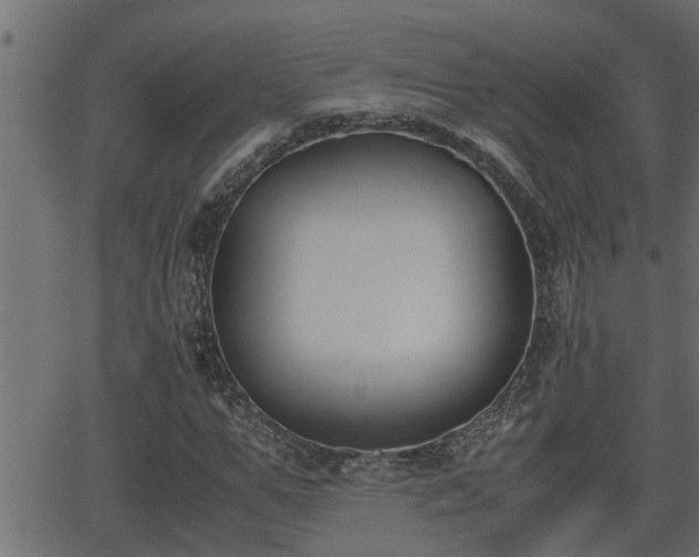 X0000062870967200601171417