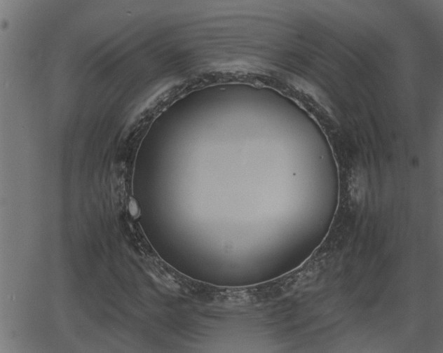 X0000062870968200601171417