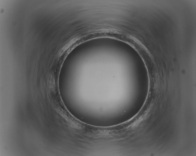 X0000062870969200601171417