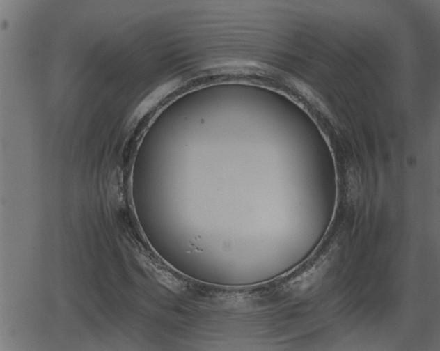 X0000062870970200601171417