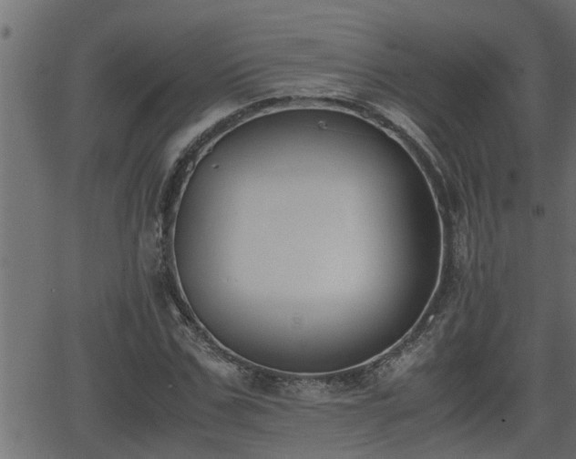 X0000062870971200601171417