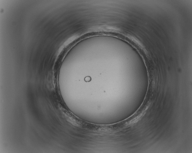 X0000062870974200601171417