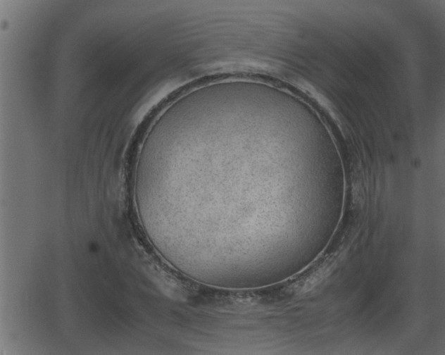 X0000062870975200601171417