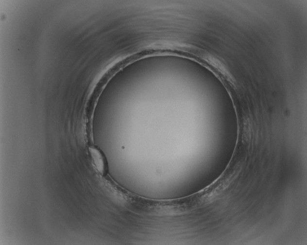 X0000062870976200601171417